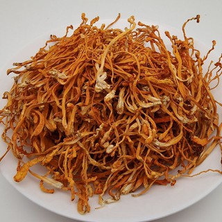 ĐÔNG TRÙNG HẠ THẢO