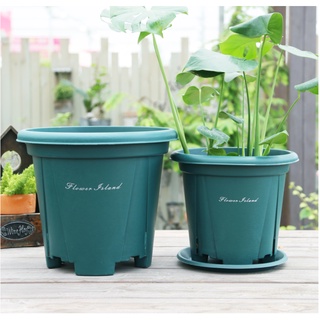 Combo 2 chậu flower island kiểm soát bộ rễ