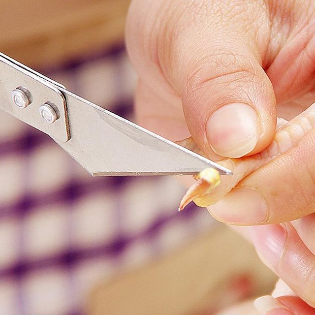 Nhíp nhổ lông gà lông vịt