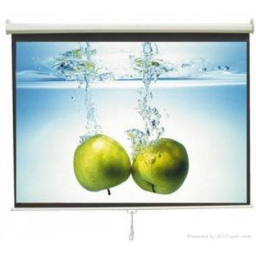 Màn chiếu treo tường Dalite 85 inch