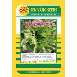 Hạt giống Rau Xà Lách Sồi Okaleaf ( sồi đỏ) 4Gr chịu nhiệt