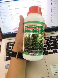 Thuốc bung đọt cho mai