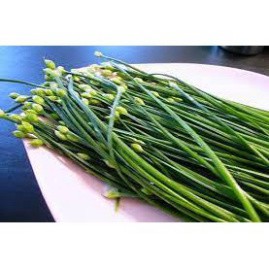 Hạ Giống Hẹ Ta siêu dễ trồng, sinh trưởng mạnh- 2000 hạt (Hạt nhập nguyên gói Đài Loan) 💝Hạt Giống Vàng💝