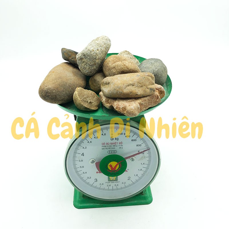 Sỏi đá cuội VÀNG 1KG nhiều màu viên trung trang trí tiểu cảnh hòn non bộ