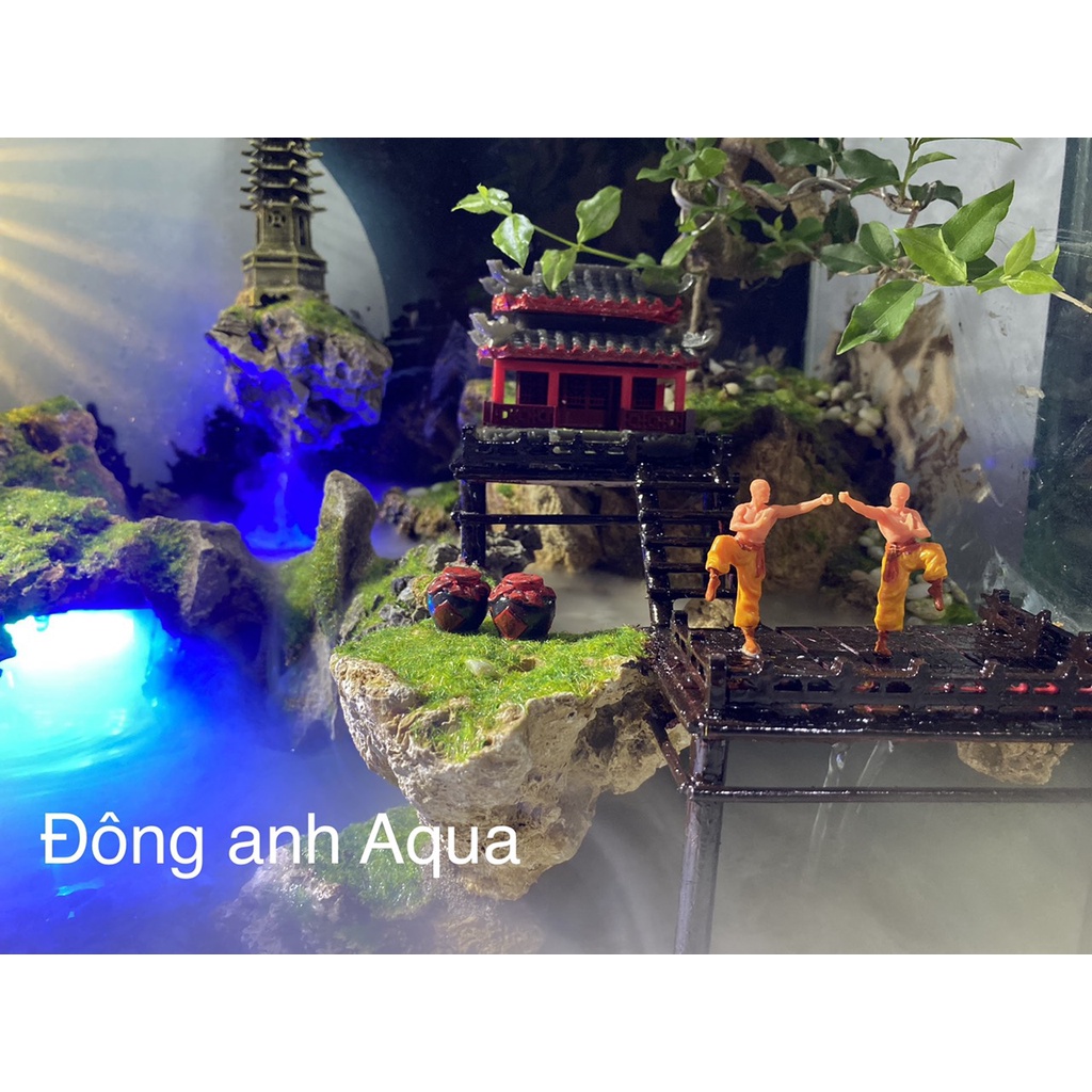 Bể bán cạn tâm hướng phật - Thiên Giới - Đông anh Aqua