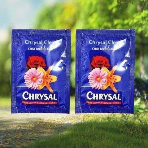 (50 gói) Chất dưỡng hoa tươi, dưỡng hoa lâu tàn CHRYSAL