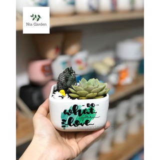 Chậu cây gốm sứ vẽ, vuông thấp mini