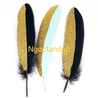 Lông vũ phủ nhũ