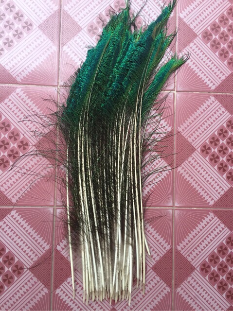 Lông công ~95-100cm loại đẹp mắt 4-6cm | BigBuy360 - bigbuy360.vn