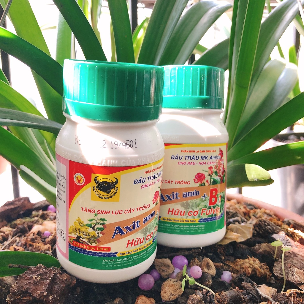 Phân bón Đầu Trâu MK Amica Axit Amin Vitamin B1 100ml kích thích tăng tưởng Rau hoa màu