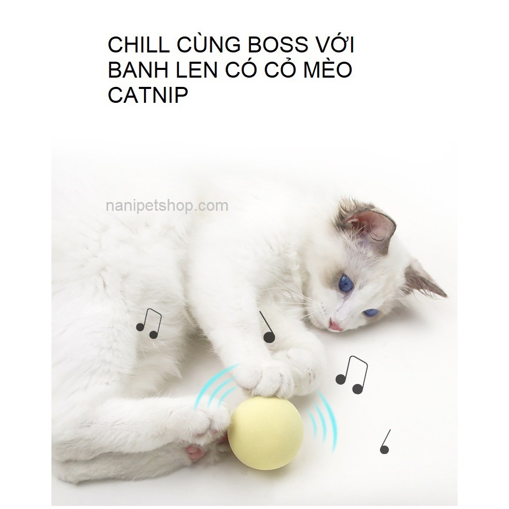(>‿◠)✌ [NowShip] Banh đồ chơi cho mèo mô phỏng côn trùng Pet Gravity  - Có cỏ bạc hà bên trong- Nà Ní Pet Shop