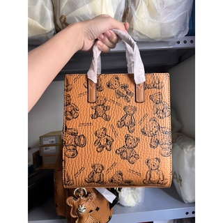 Túi Gấu TTWN BEAR
