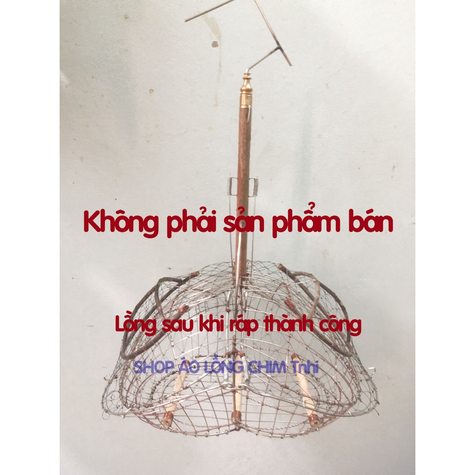 Khung lồng bẫy chim 2 mặt chào mào choè khuyên hút mật khướu sâu tự ráp form số 8