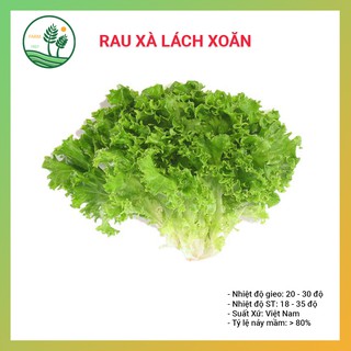 Hạt Giống Rau Xà Lách Xoăn - 5gr