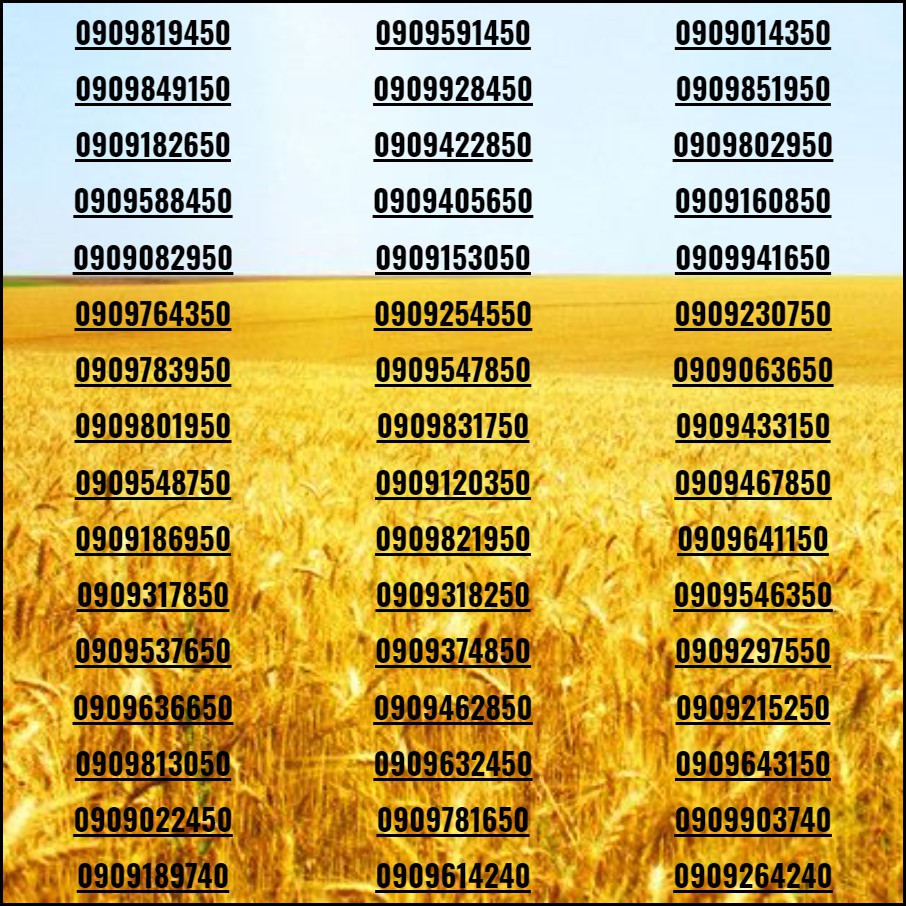 Sim đẹp Số tiến