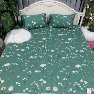Bộ ga gối Cotton lụa Bambilo chần bông sẵn hàng