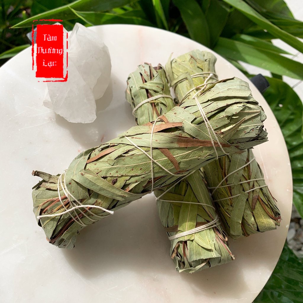 Xô thơm Bạch Đàn  Eucalyptus Sage thanh tẩy nhà cửa, tái tạo năng lượng, thảo mộc xông nhà bạch đàn