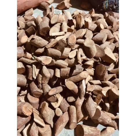 1 Kg cây Mú Từn Khô (bổ thận, cường dương) - [FREESHIP]  dltd