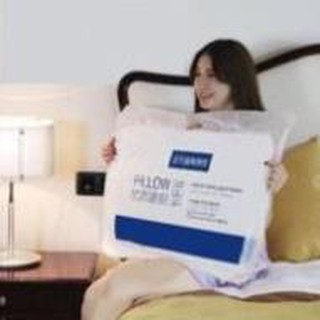 COMBO 2 RUỘT GỐI PILLOW [ Kho sỉ ]