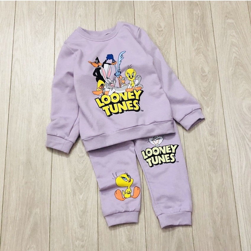 Bộ dài tay thu đông bé gái - Set 2 bộ nỉ LOONEY TUNES tím HM cho bé gái size1-6t