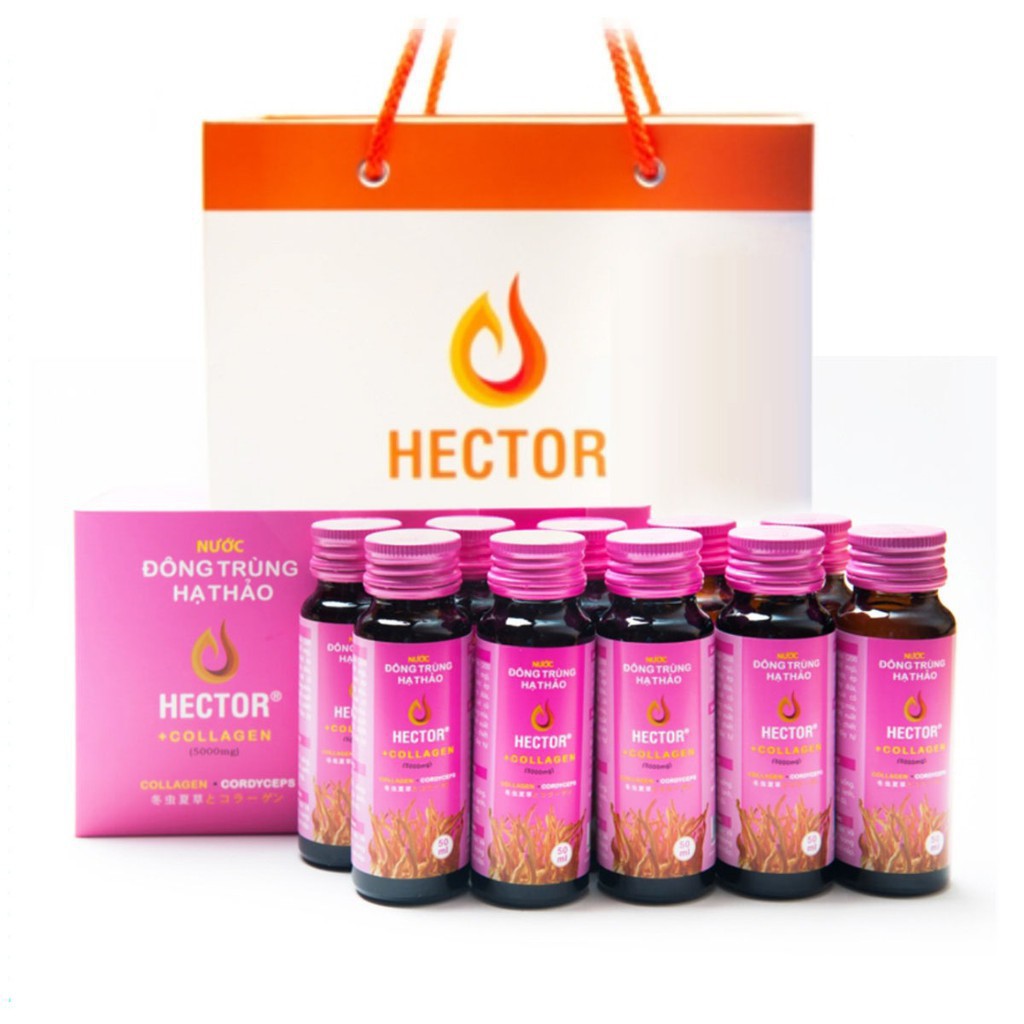 Nước Đông Trùng Hạ Thảo Hector Collagen Hộp 10 Chai Hector Cordyceps Collagen