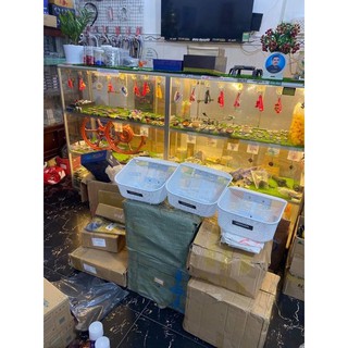 Rỗ Xe Trước cho mọi dòng xe wave fu led