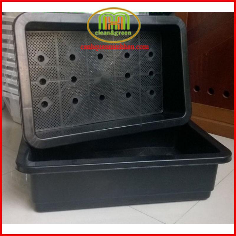 Chậu trồng rau thông minh không chảy nước ra sàn