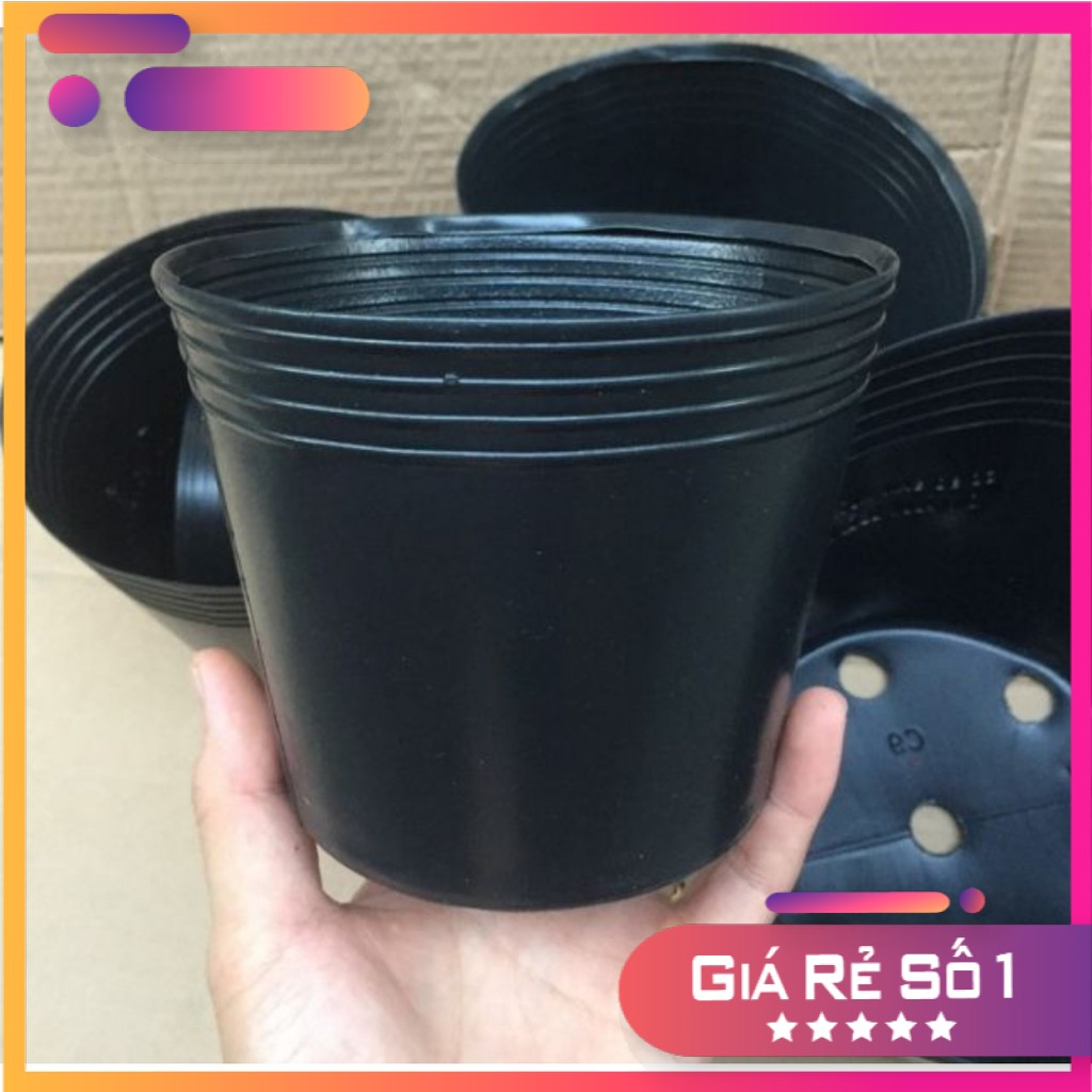 Combo 10 Chậu  Ươm Cây Giống C7