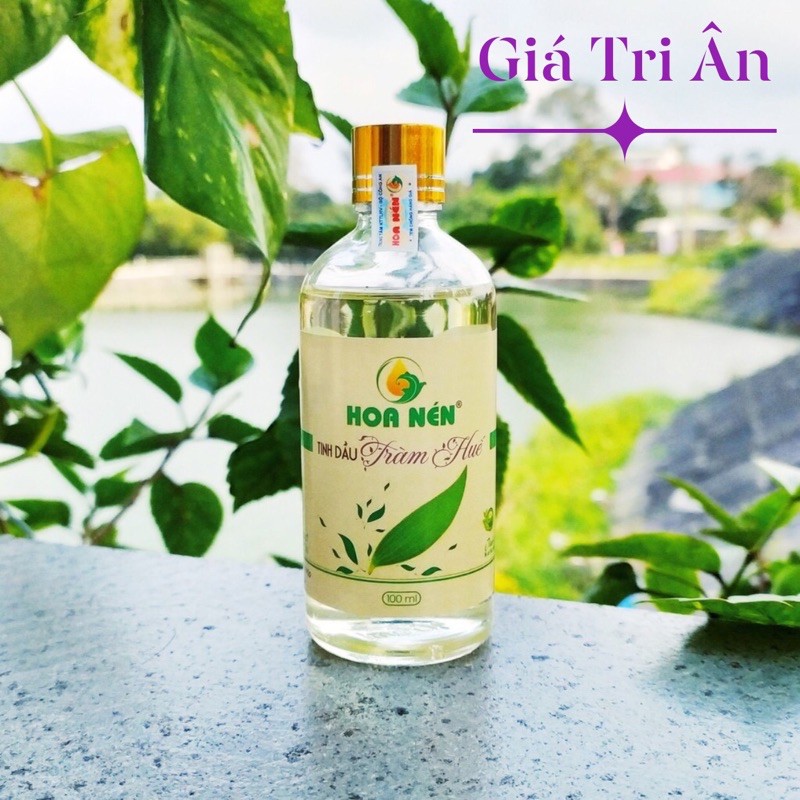 [Deal Sốc] Tinh Dầu Tràm Huế Hoa Nén/ nguyên chất 100%/ loai 50ml