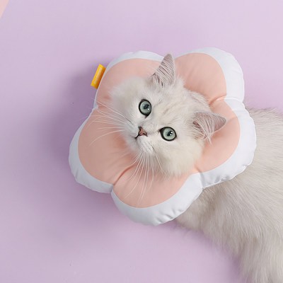 Miaoho chống thấm nước mềm Elizabeth Nhẫn vật nuôi mèo tay áo đầu chó tuyệt dục vòng tròn Xấu Hổ Dễ Thương Hoa hình dạng