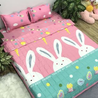 Trọn bộ 5 món chăn ga gối hè poly mới nhất