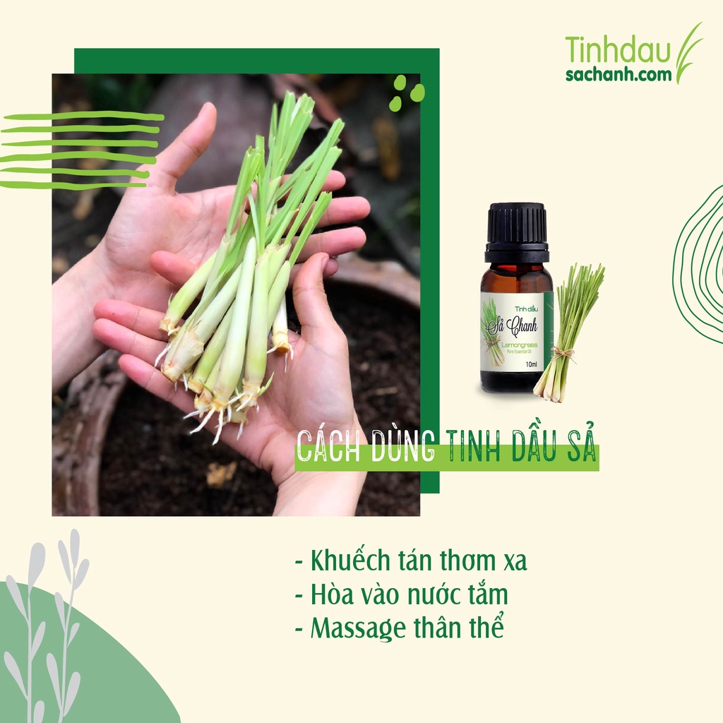 Tinh Dầu Sả Chanh 10ml TINHDAUSACHANH.COM Lemongrass  Tinh Dầu Sả Chanh Đuổi Muỗi Dầu Sả Xông Thơm Phòng