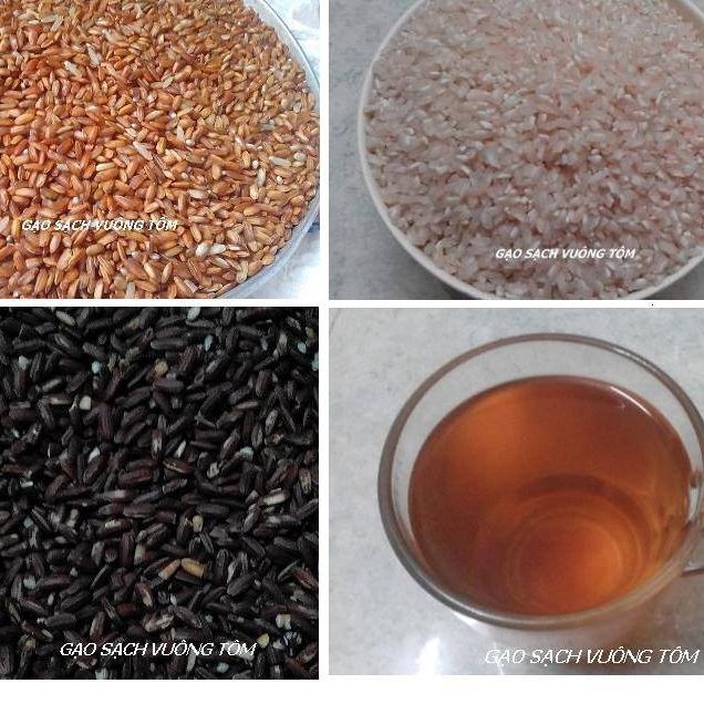 GẠO SẠCH VUÔNG TÔM