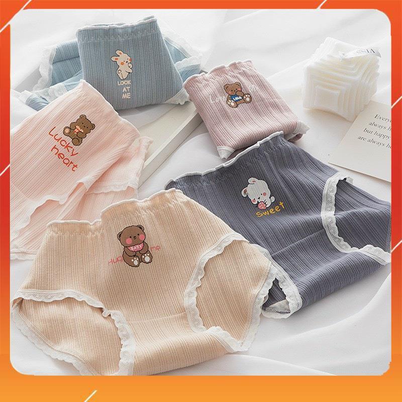 Hộp 5 chiếc quần lót học sinh xuất Nhật chất cotton cao cấp kháng khuẩn mềm mại thấm hút mồ hôi họa tiết đáng yêu Q4048
