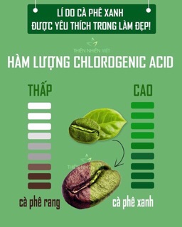COMBO 10 CÀ PHÊ XANH - CÀ PHÊ KHÁNG MỠ