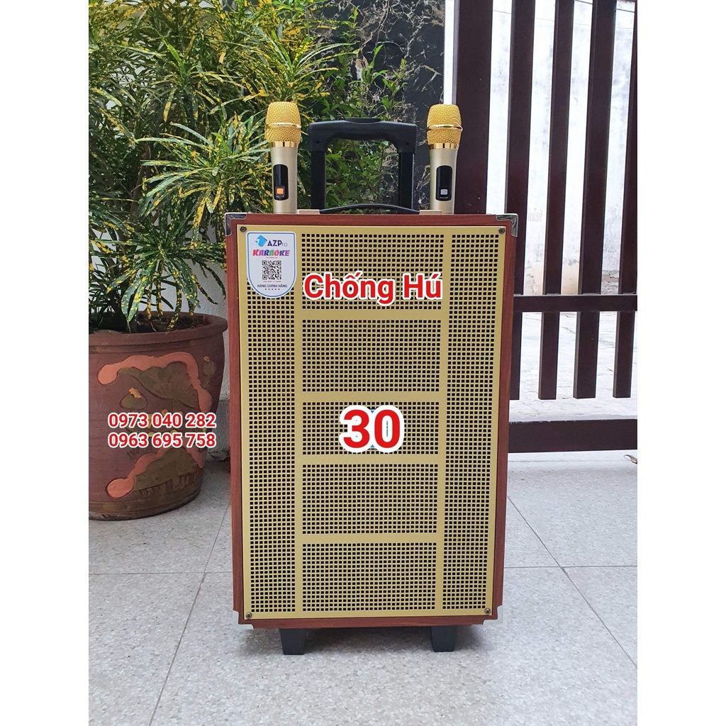 Loa kẹo kéo loa di động hát karaoke bluetooth Azpro AZ12 pro Bass 30 thùng gỗ