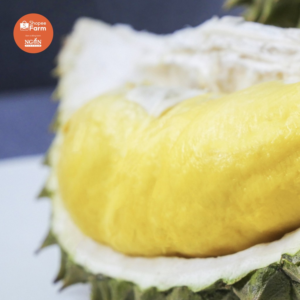 [Mã 267FMCGSALE giảm 8% đơn 500K] [HN] Sầu Tươi Tách Múi ri6 Cai Lậy Chín Già Tự Nhiên - Shopeefarm | BigBuy360 - bigbuy360.vn