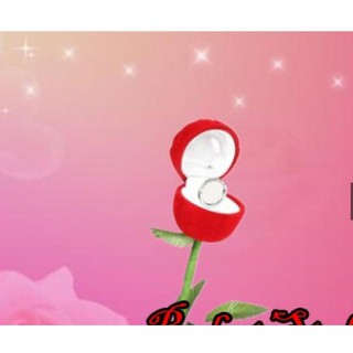 Ảo thuật đường phố - Hoa Hồng Cầu hôn