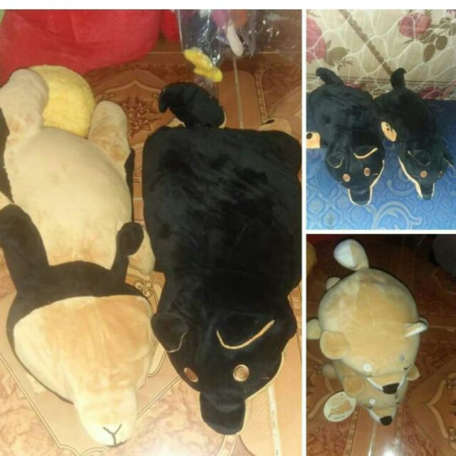 gấu của c hồng thúy