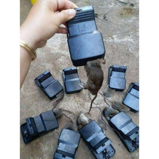 Bẫy kẹp chuột siêu nhậy