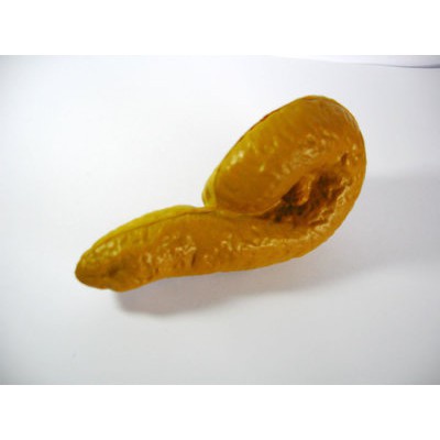 ĐỒ CHƠI HOT cục shit cứng và mềm | BigBuy360 - bigbuy360.vn