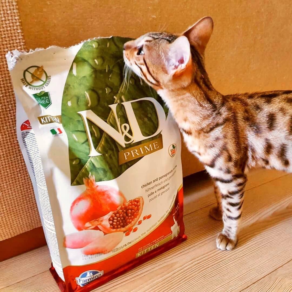 Farmina N&D PRIME KITTEN- THỊT GÀ & LỰU CHO MÈO CON, ĐANG MANG THAI HOẶC CHO CON BÚ