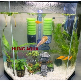 Lọc sủi vi sinh XY cho bể cá - gồm 3 chức năng lọc, sủi, tạo vi sinh