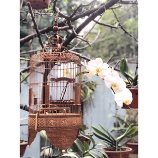 Lồng khuyên đục bằng tre đẹp
