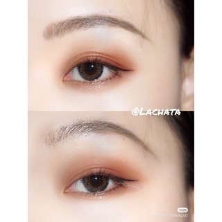 Bảng mắt Morphe 35O2