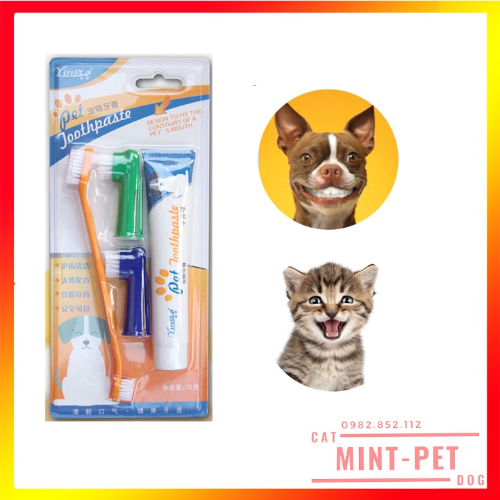 Bộ Kem Đánh Răng Kèm Bàn Chải Cho Chó và Thú Cưng Tuýp 100g #MintPet