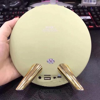 Loa WS 1625