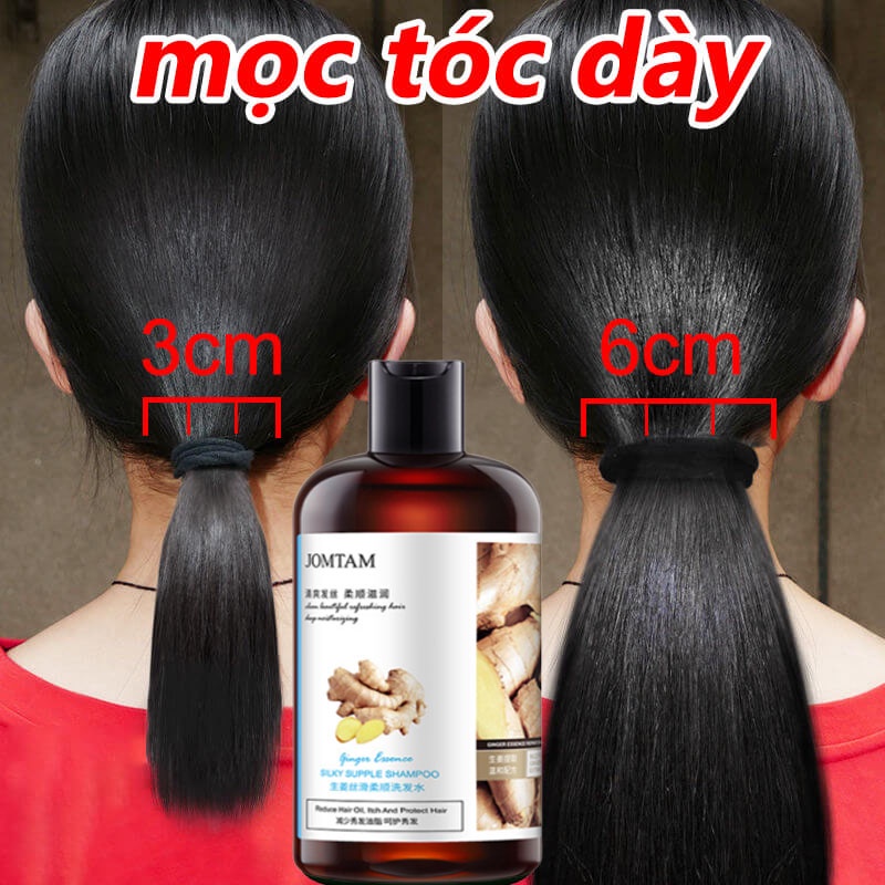 Dầu gội mọc tóc Dầu gội chống rụng tóc Dầu gội thảo dược 400ML Dầu gội gừng tươi kiềm dầu sạch gàu nấm ngứa thảo dược liệu chống ngăn rụng tóc QUÊ MỘT CỤC