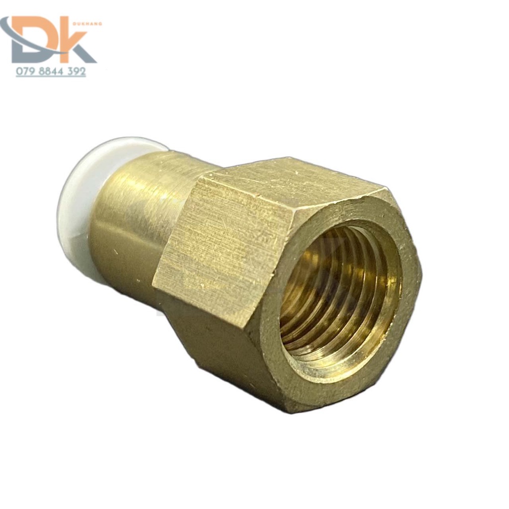Đầu nối khí nén 1 đầu ren trong YPCF