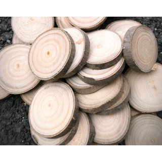 miếng gỗ tròn handmade trang trí chụp ảnh